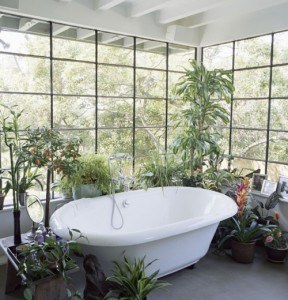 plantas para decorar el baño