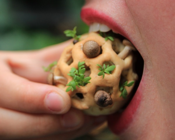 productos ecologicos