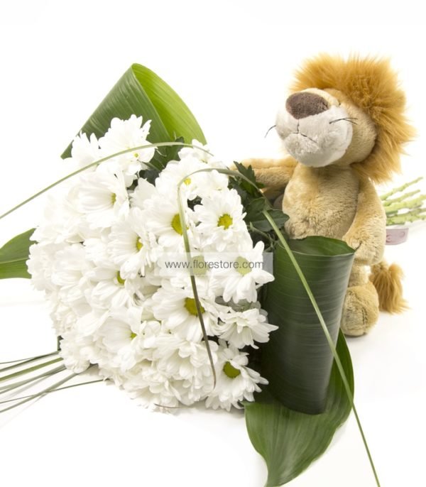 bouquet margaritas leon