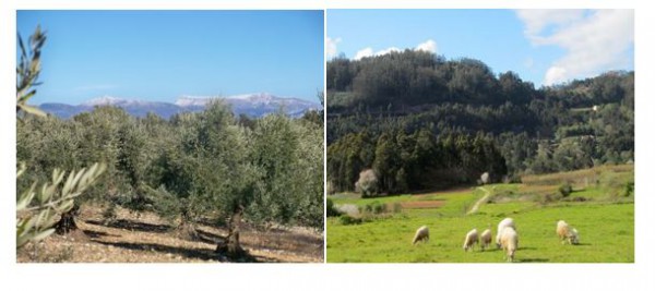 Suelos en España: suelos en España