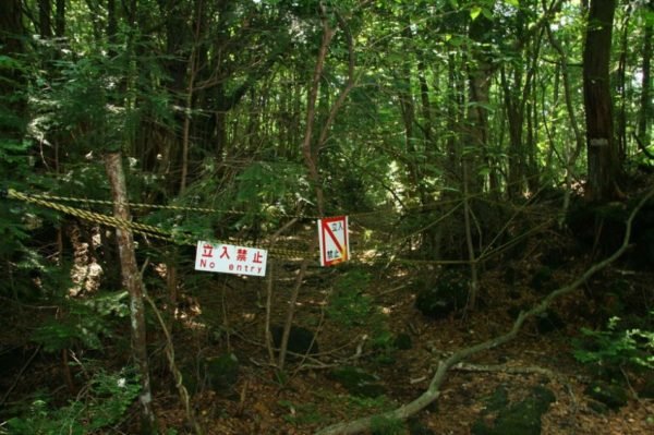 1. Bosque de los suicidios, Japón lugares-mas-escalofriantes-bosque-suicidios-japon
