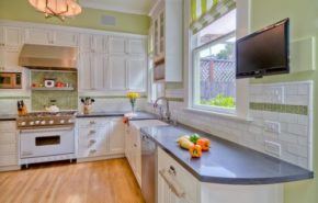 El árbol del olivo - Tendenzias.com