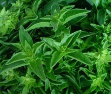 Más de 34 Ideas para decorar una cocina al estilo Vintage - Tendenzias.com